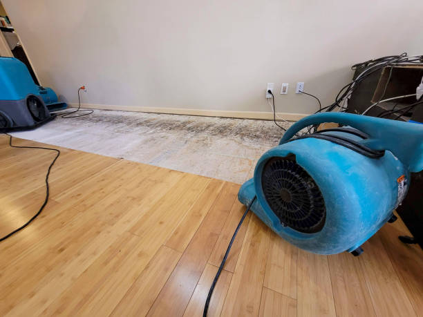 Professional Water Damage Repair technician working in Bussey, IA